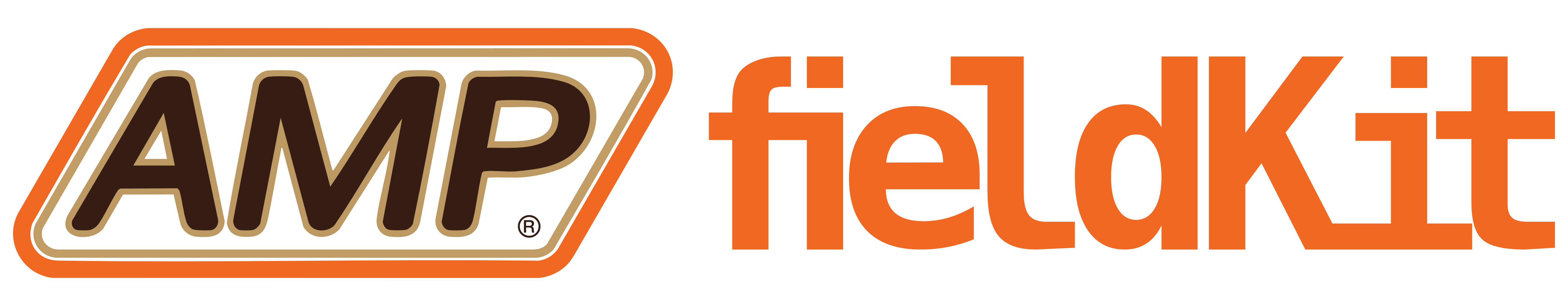 AMP Field Reference Logo